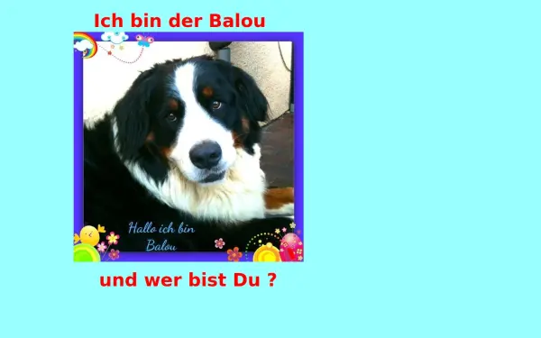mekie.de