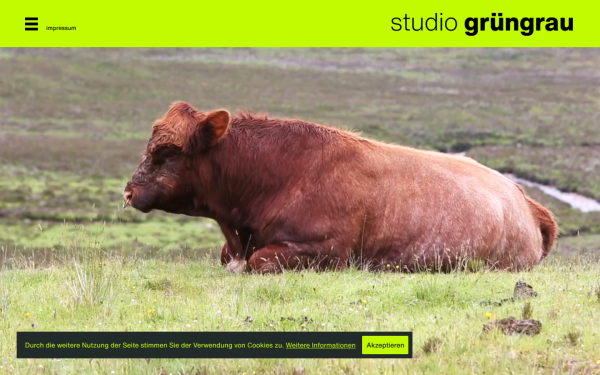 studiogruengrau.de