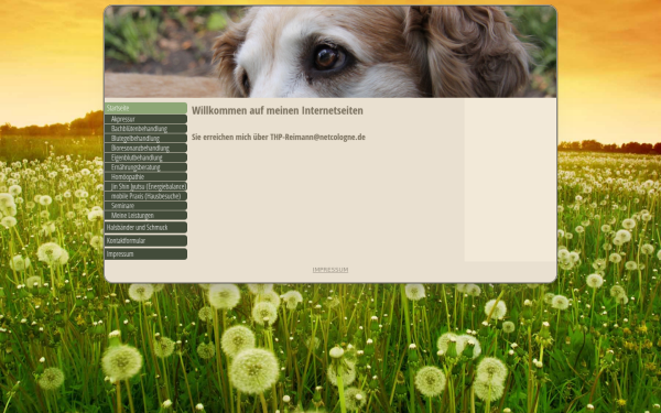 god-dogs.de