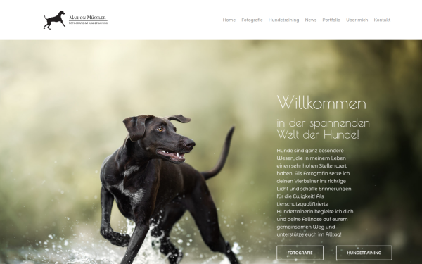 marionmuessler.at