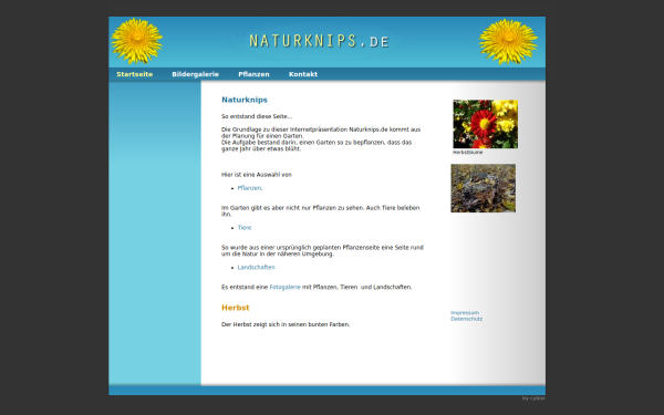 www.naturknips.de