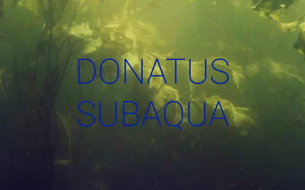 donatus-subaqua.de
