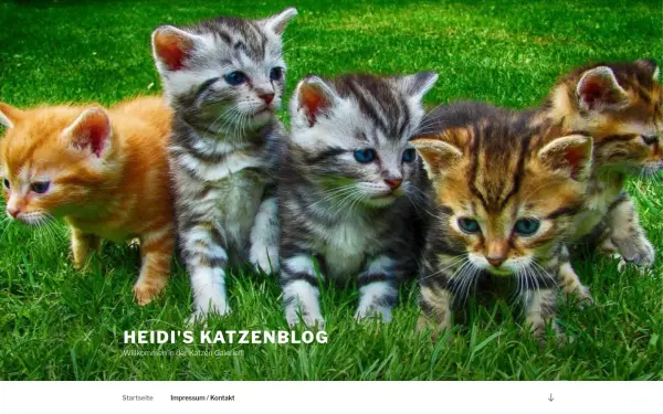 heidis-katzenblog.de