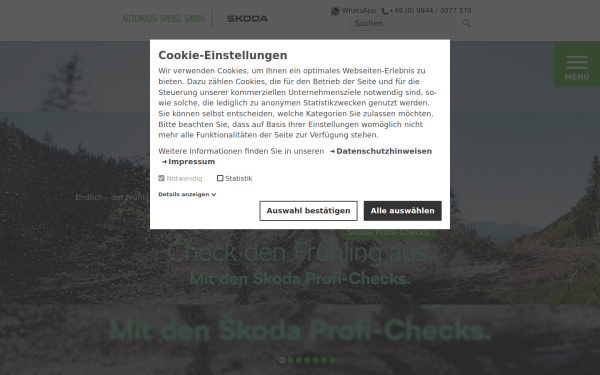 skoda-speigl.de