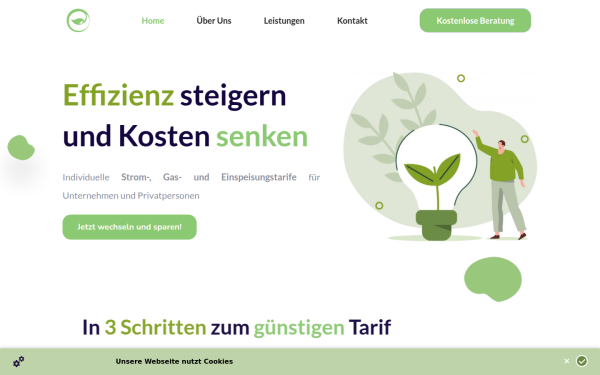 energieeffizienzpartner.at