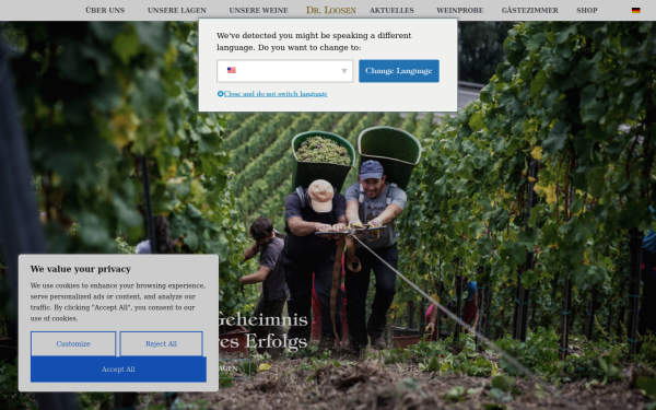 drloosen.com