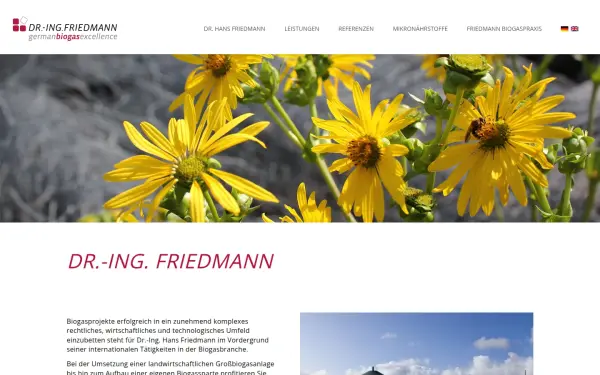 dr-friedmann.de