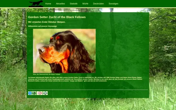 www.gordonsetter.de