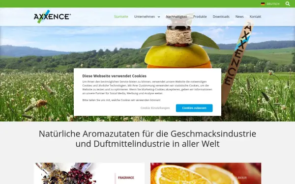 www.axxence.de
