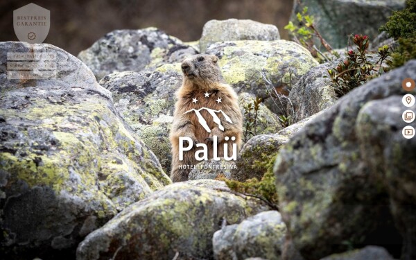 www.palue.ch