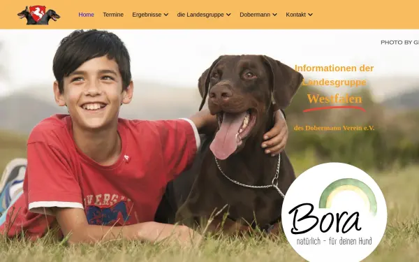 www.dobermannverein-westfalen.de