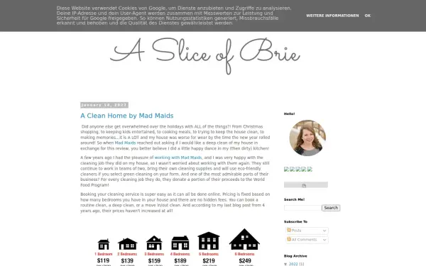 www.sliceofbrie.com