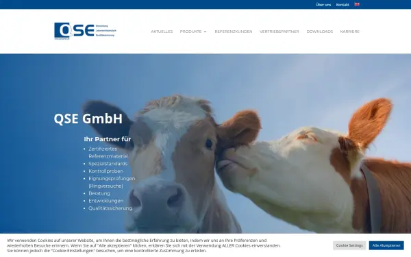 qse-gmbh.de
