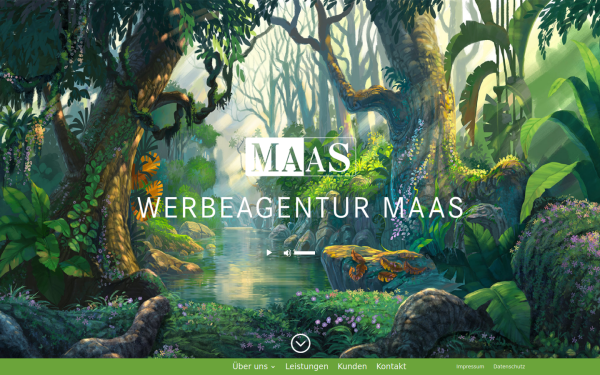 werbeagenturmaas.de