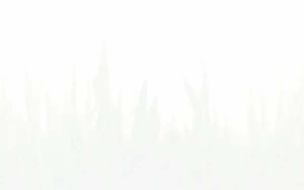 fotto.de