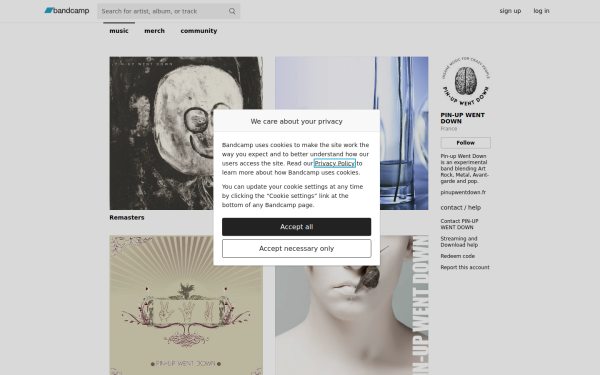pinupwentdown.bandcamp.com