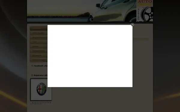 autoservice-syring.de
