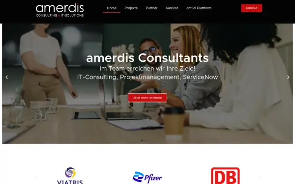 amerdis.de