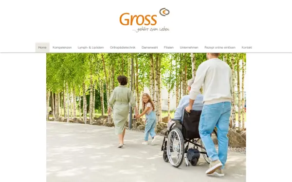 www.gross-ludwigsburg.de