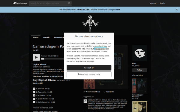 brii.bandcamp.com