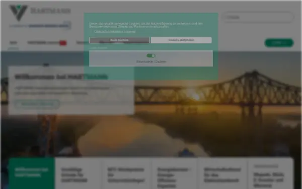 hartmanngruppe.net
