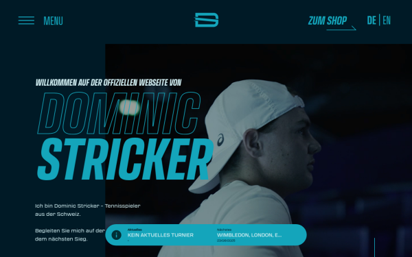 dominicstricker.ch