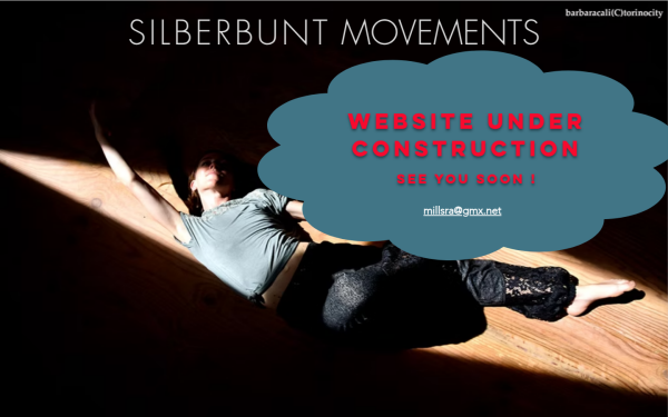 www.silberbunt-movements.at