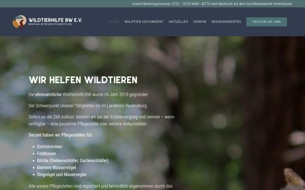 wth-bw.de