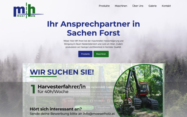 www.moeserholz.at