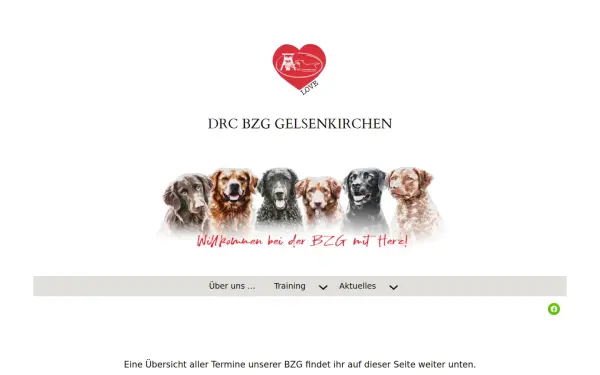 drc-bzg-gelsenkirchen.de