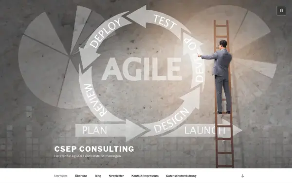 www.csep-consulting.de