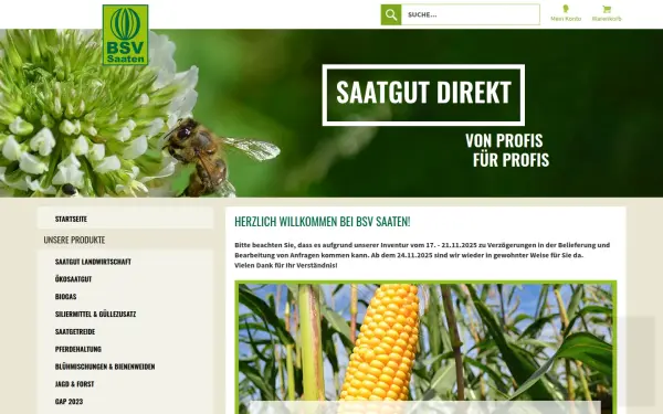 bsv-saaten.de