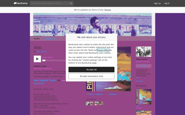 pinkhawks.bandcamp.com
