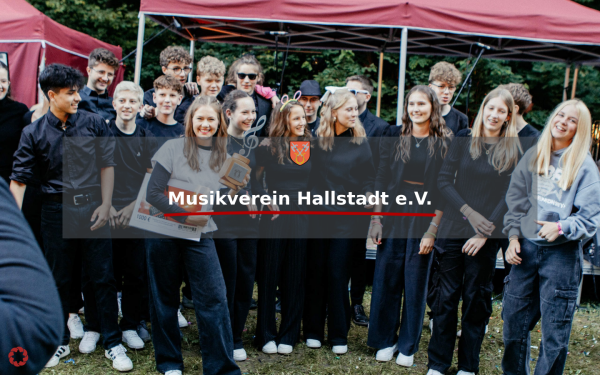 musikverein-hallstadt.de