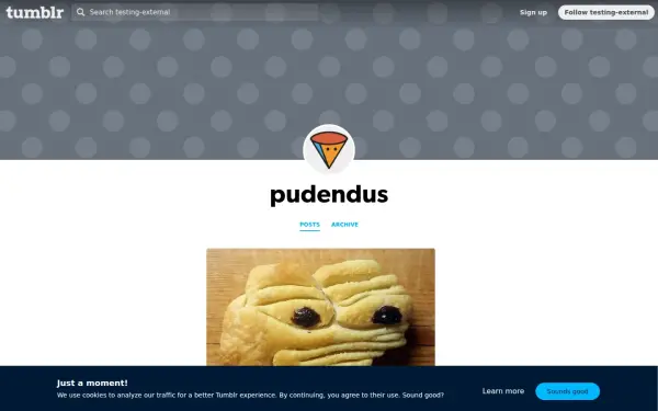 pudendus.de