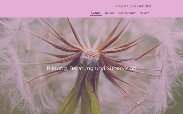 www.clarahandler.at