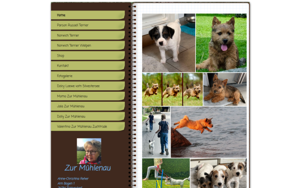 www.parson-russell-norwich-terrier.de