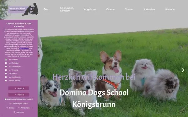 www.domino-dogs-school.de