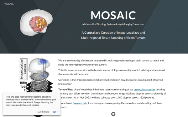 www.braintumormosaic.org
