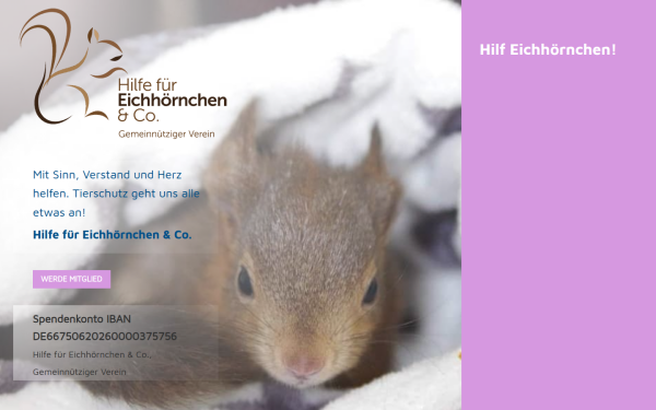 hilf-eichhoernchen.de