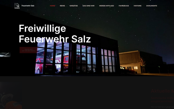 feuerwehr-salz.de