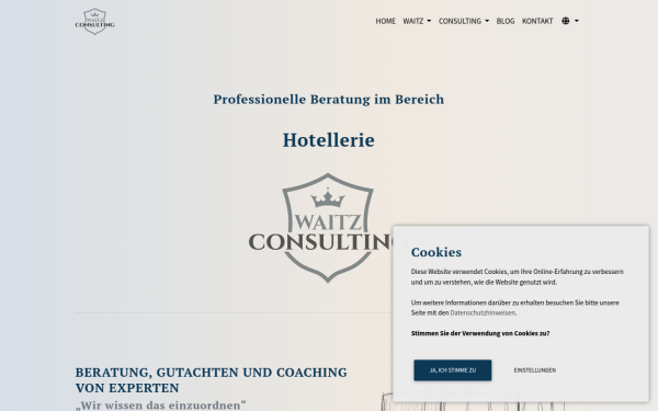 waitz-consulting.de