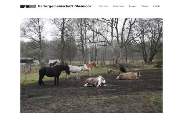 haltergemeinschaft-glasmoor.de