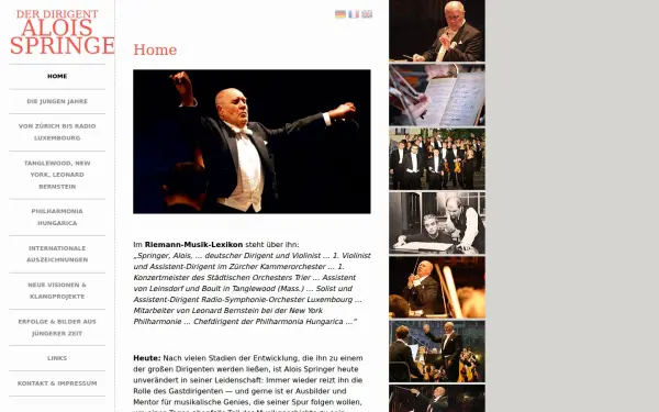 alois-springer.de