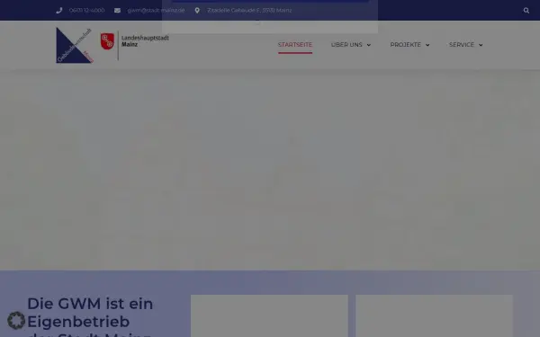 gwm-mainz.de