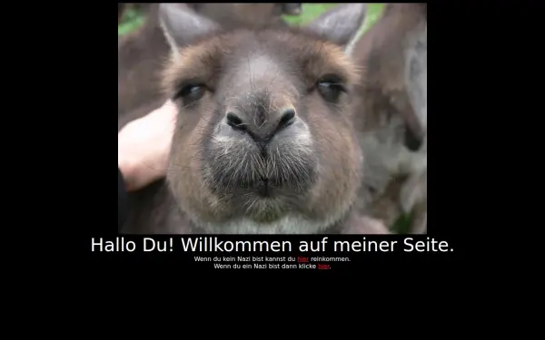daskaenguru.de