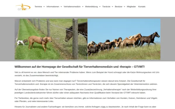 www.gtvmt.de