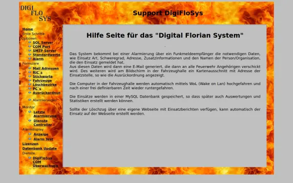 digiflosys.de