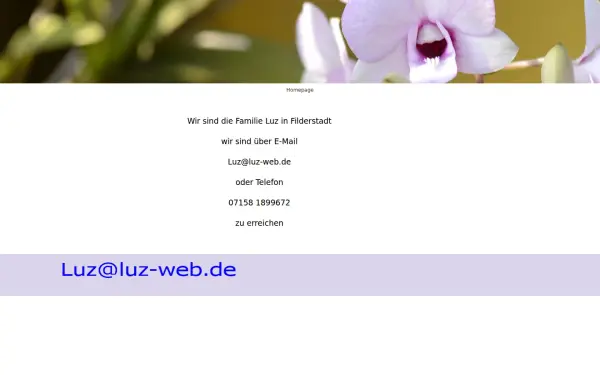 luz-web.de