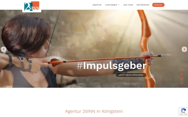 2sinn.com